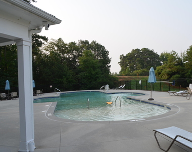 1021 Diamond Dove Lane - Photo Thumbnail 48