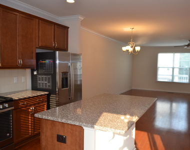 1021 Diamond Dove Lane - Photo Thumbnail 24
