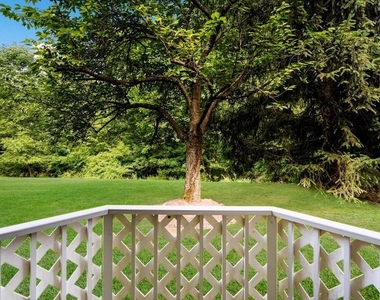 907 Diamond Drive - Photo Thumbnail 22