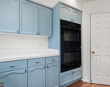 18506 Carriage Walk Circle - Photo Thumbnail 14