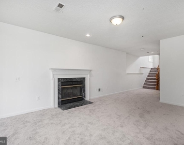 18506 Carriage Walk Circle - Photo Thumbnail 42