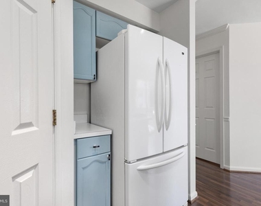 18506 Carriage Walk Circle - Photo Thumbnail 15