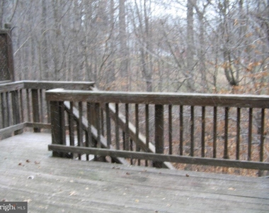 2443 Copper Mountain Terrace - Photo Thumbnail 4