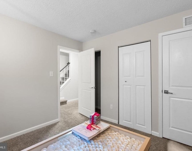 18005 Sunset Lake Court - Photo Thumbnail 31