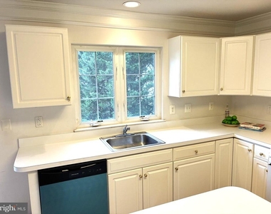 12923 Creamery Hill Drive - Photo Thumbnail 11
