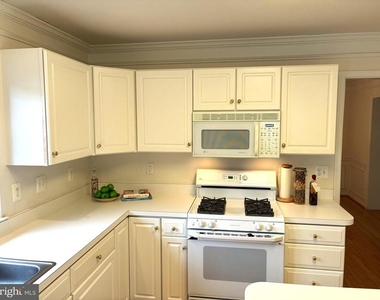 12923 Creamery Hill Drive - Photo Thumbnail 12