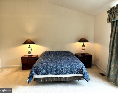 12923 Creamery Hill Drive - Photo Thumbnail 18