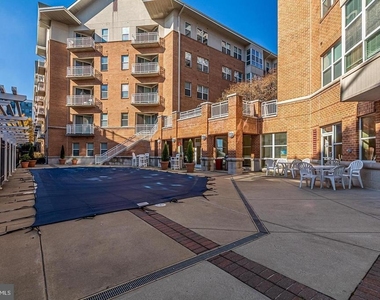 23 Pierside Drive - Photo Thumbnail 32