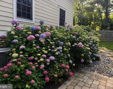 4 Ridge Road - Photo Thumbnail 53