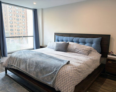 227 E Walton Place - Photo Thumbnail 8