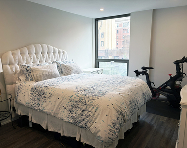 227 E Walton Place - Photo Thumbnail 11