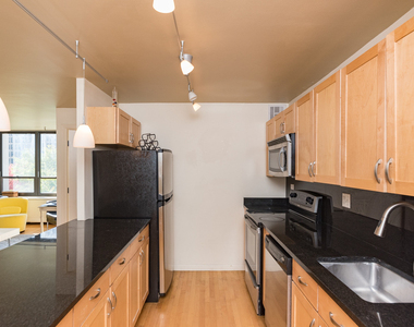 222 E Pearson Street - Photo Thumbnail 8