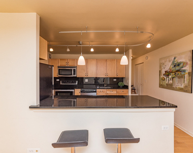 222 E Pearson Street - Photo Thumbnail 9