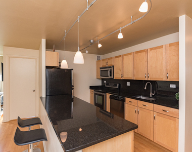 222 E Pearson Street - Photo Thumbnail 7