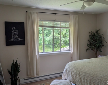 197 Pine Hill Road - Photo Thumbnail 12