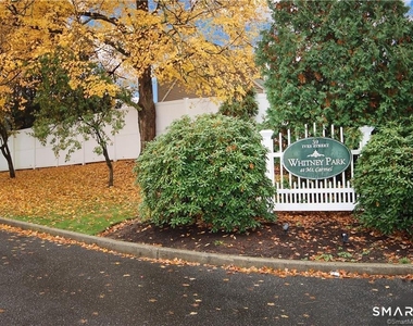 39 Ives Street - Photo Thumbnail 28