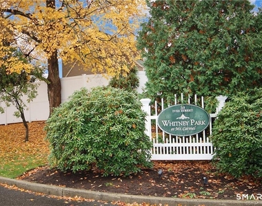 39 Ives Street - Photo Thumbnail 26
