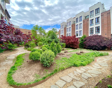 72 Maujer Street - Photo Thumbnail 7