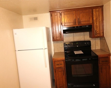 1901 E Lindsey Street - Photo Thumbnail 8