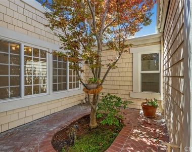 25 Candlebush - Photo Thumbnail 2