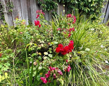975 Inverness Way - Photo Thumbnail 17