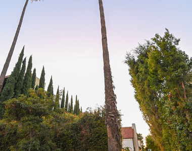 1019 N Orange Grove Avenue - Photo Thumbnail 35