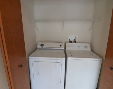 206 Terra Firma Lane - Photo Thumbnail 16