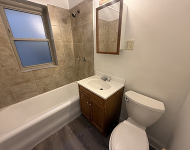 154 Des Plaines Avenue - Photo Thumbnail 11