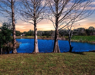 11416 Pine Forest Drive - Photo Thumbnail 43