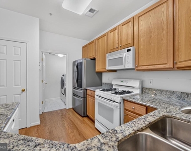 43081 Zander Terrace - Photo Thumbnail 24