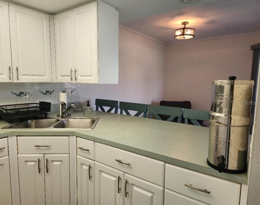 1003 S Bayshore Boulevard - Photo Thumbnail 9