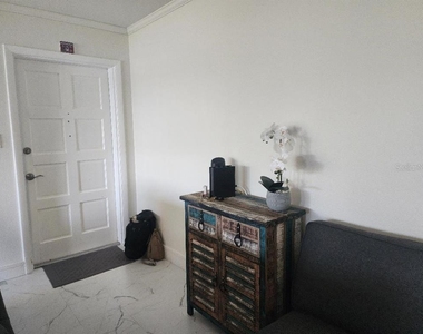 1003 S Bayshore Boulevard - Photo Thumbnail 2