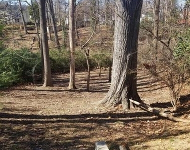 138 S Abingdon Street - Photo Thumbnail 32