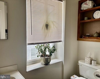 2620 Poplar Street - Photo Thumbnail 10