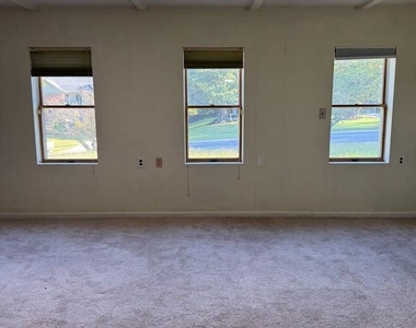 1708 Woodwell Road - Photo Thumbnail 29