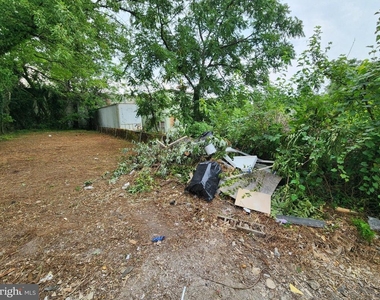 523 Wellesley Street - Photo Thumbnail 23