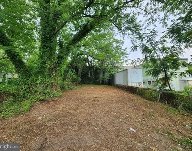 523 Wellesley Street - Photo Thumbnail 22