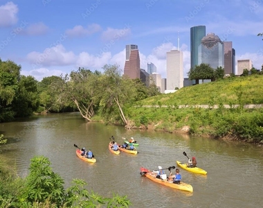 505 Bastrop Street - Photo Thumbnail 24