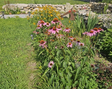 15 Brook Street - Photo Thumbnail 11