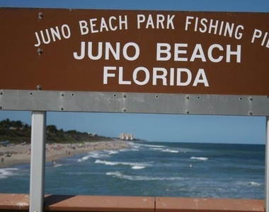 5159 N Hwy A1a N - Photo Thumbnail 90