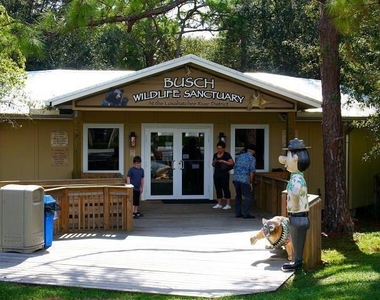 5159 N Hwy A1a N - Photo Thumbnail 89