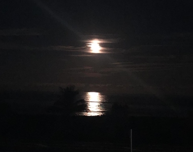 5159 N Hwy A1a N - Photo Thumbnail 77