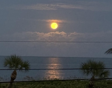 5159 N Hwy A1a N - Photo Thumbnail 95
