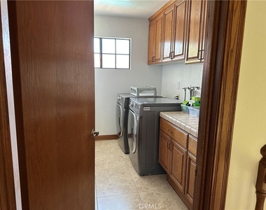146 Luben - Photo Thumbnail 11