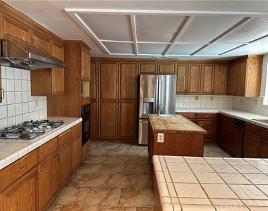 146 Luben - Photo Thumbnail 6