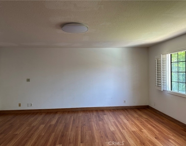 146 Luben - Photo Thumbnail 16