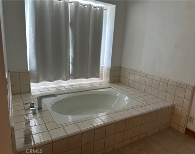 146 Luben - Photo Thumbnail 21
