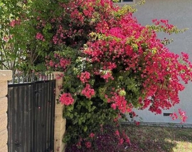 1024 Laguna Terrace - Photo Thumbnail 2