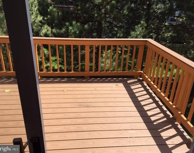 2503 Clover Field Circle - Photo Thumbnail 5
