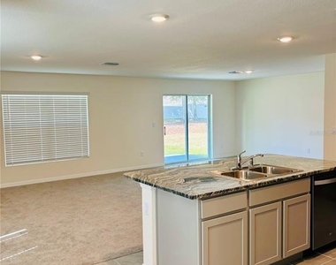 13649 Whiskey Daisy Drive - Photo Thumbnail 3